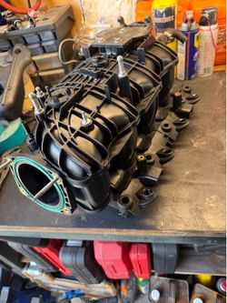 Tbss intake