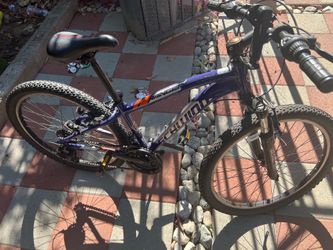 Mountain bike
