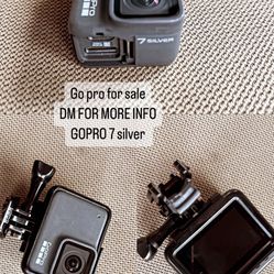 GoPro 7 Silver 