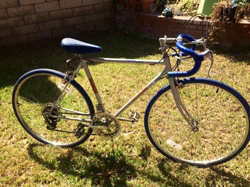 Randor Triathlon Bike 10 speed Starter Bike for Sale in Los Angeles CA OfferUp