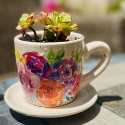 🫖 🍵 🌺: Hand painted Teacup Planter (saucer attached) w Succulent Plants 🪴 