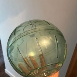 Hamster Ball