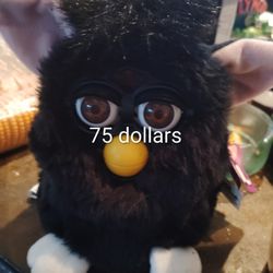 Furby