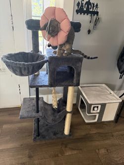 Cat tower