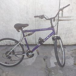 26-in Blazer Mountain Bike