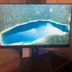 MSI 24" Gaming Monitor G242