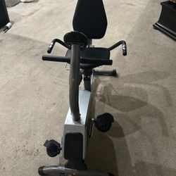 Recumbent Bike