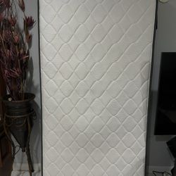 Twin Bed Sealy essentials Brand 