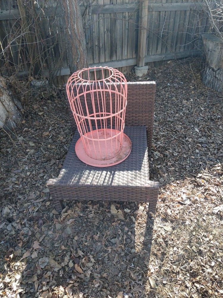 Bird Cage