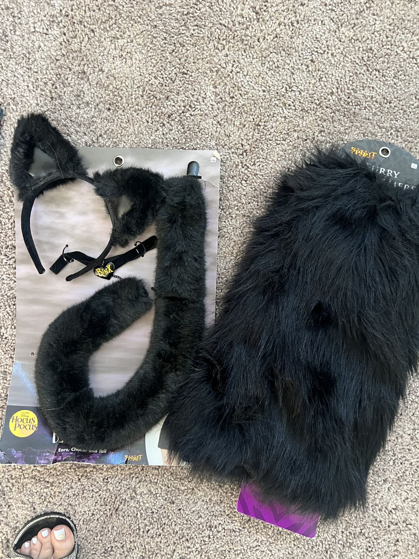 Halloween Costume/ Black Cat