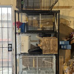  Bird Cage 