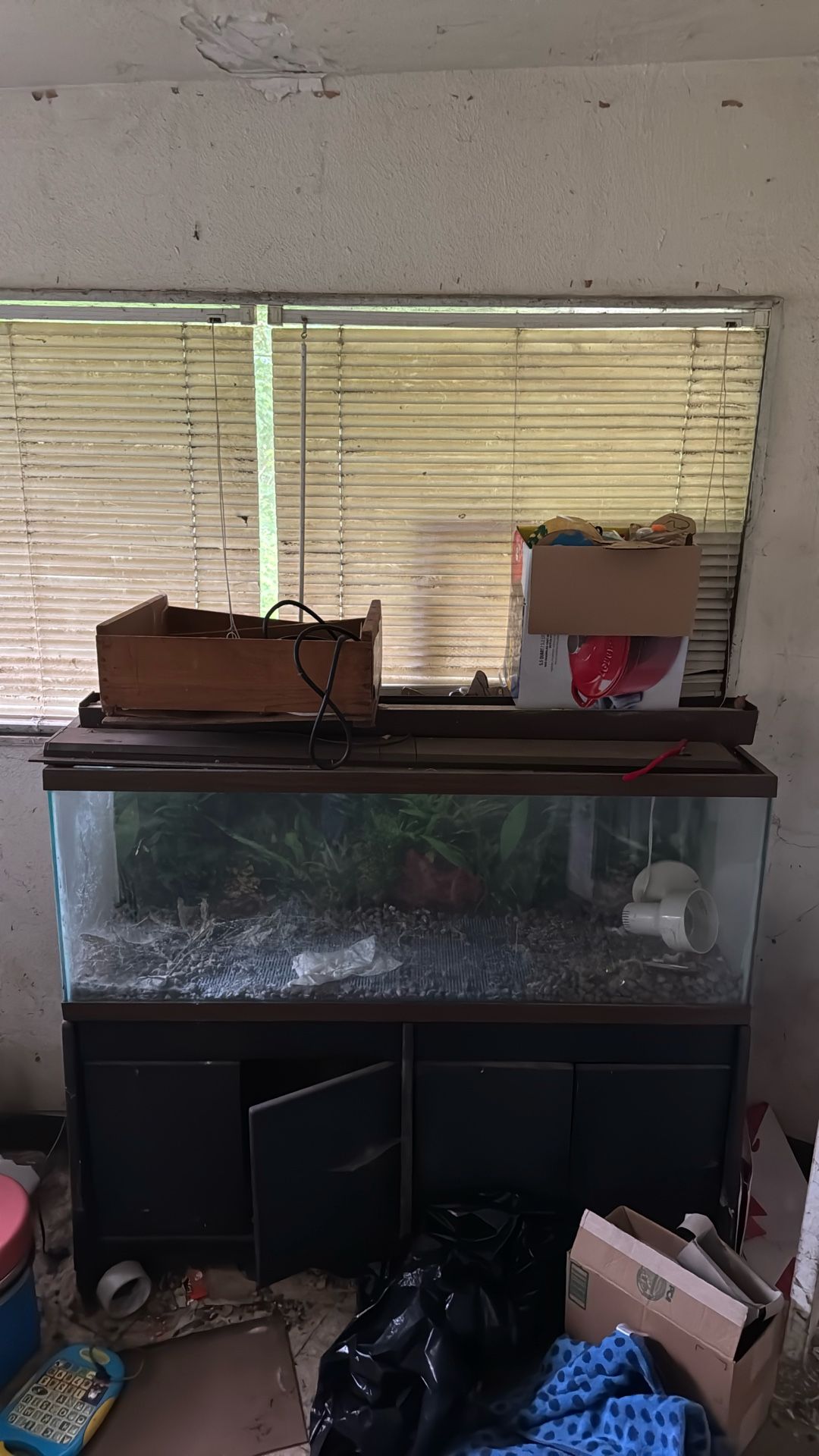 Fish Tanks 