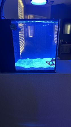 Saltwater Tank