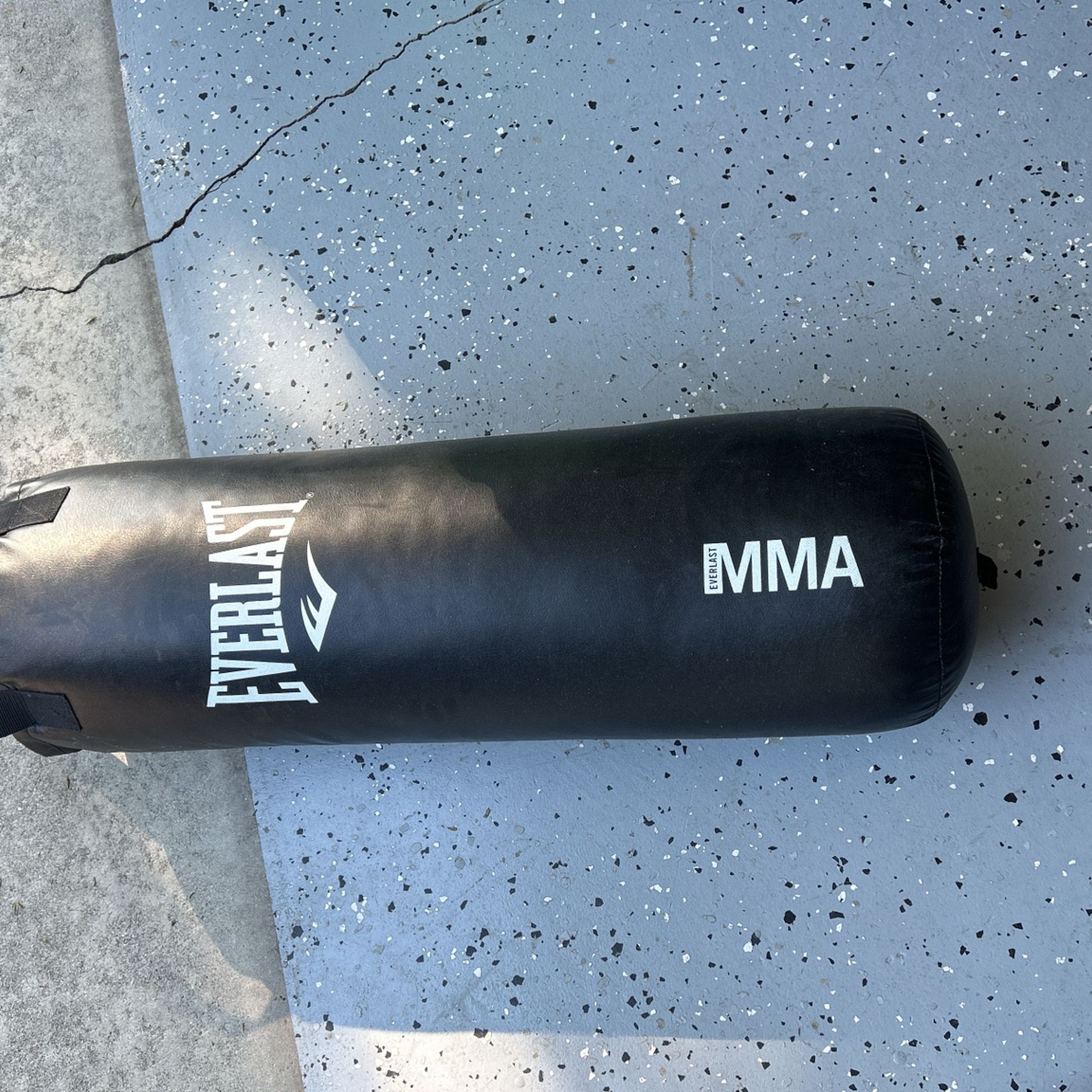 Everlast Punching Bag