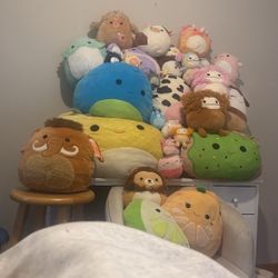 Squishmallow lot