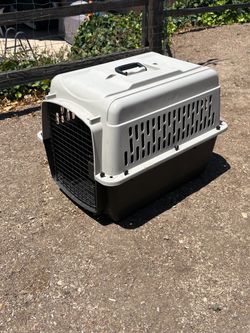 Dog Crates