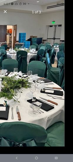 100 green chair covers