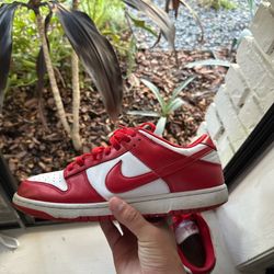 Nike Dunk Red Size 11