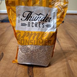 Cat Grass Seeds