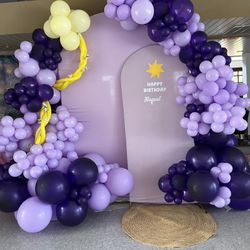 Balloon Backdrop & Set Up 