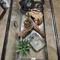 Reptile Pet Supplies 
