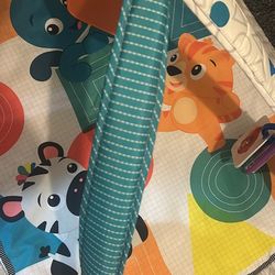 Brand New Baby Mat