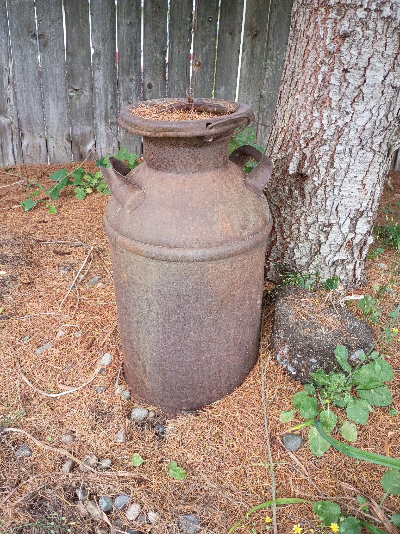 Antique Milk Can