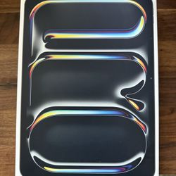 M4 (256g ) Ipad Pro 13in 