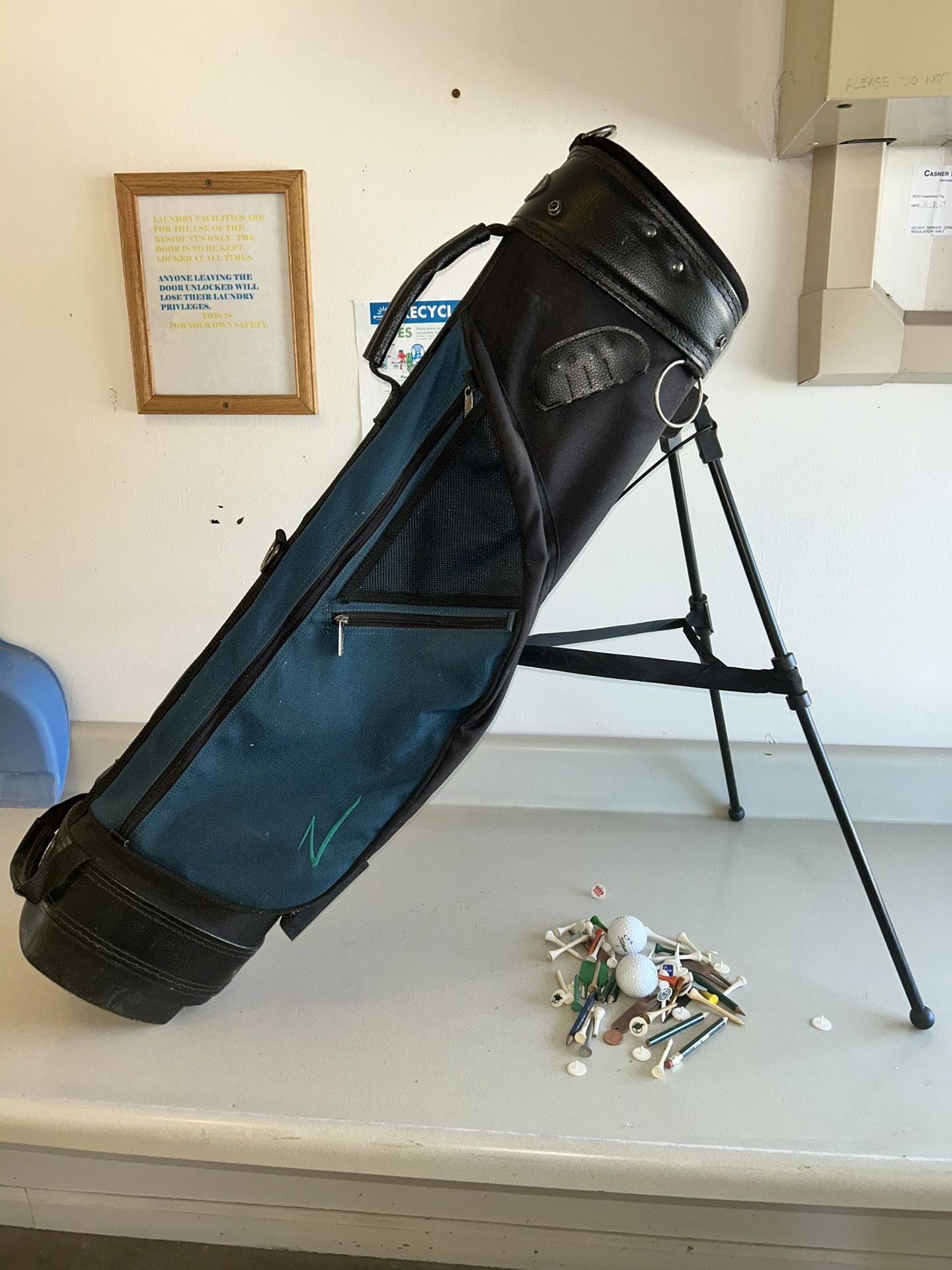 Mizuno BR-D4 4-Way Stand Bag