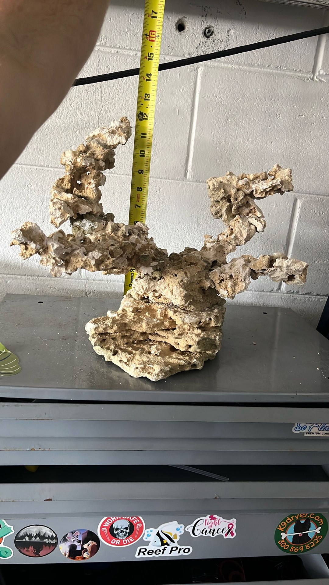 Aquarium Decor
