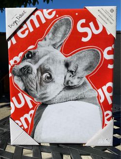 Supreme Frenchy Canvas Print 11 X 14