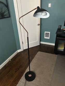Floor Lamp with Adjustable Light