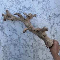 Sandblasted Grapevine Wood | Natural Driftwood Branch for Terrariums, Aquascaping, or Rustic Decor