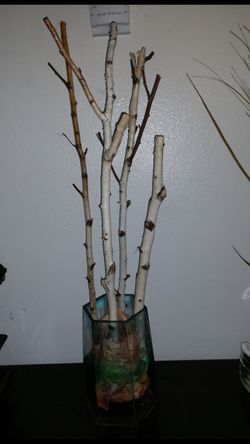 Birch ornament