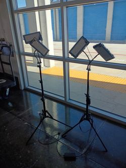 Dual-Head LED Plant Grow Lights with Adjustable Tripod Stands (Pair