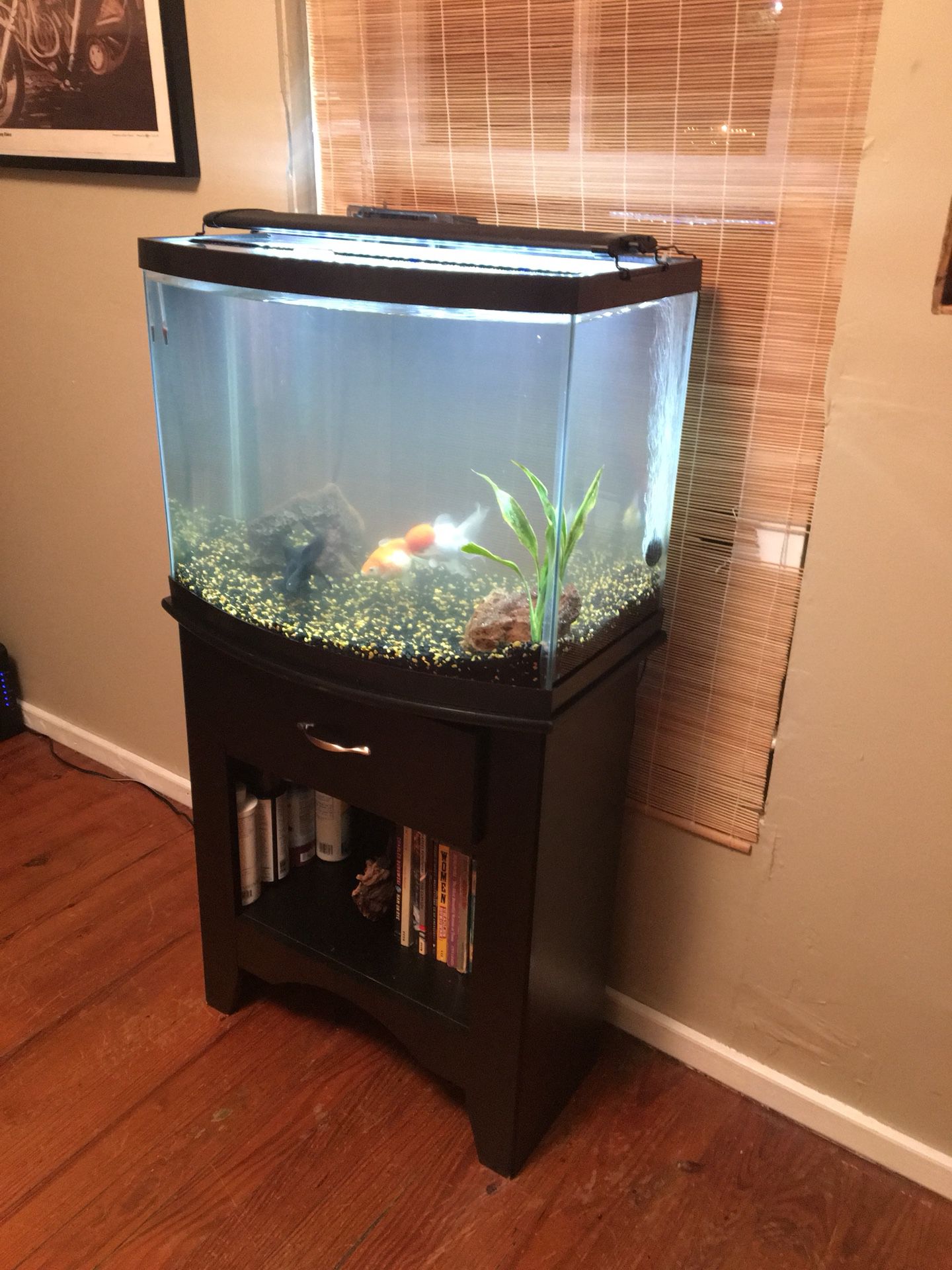 28gal Euro Fish Tank with Black Wooden Stand