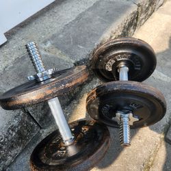 Adjustable Dumbell