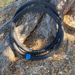 Bike Tires