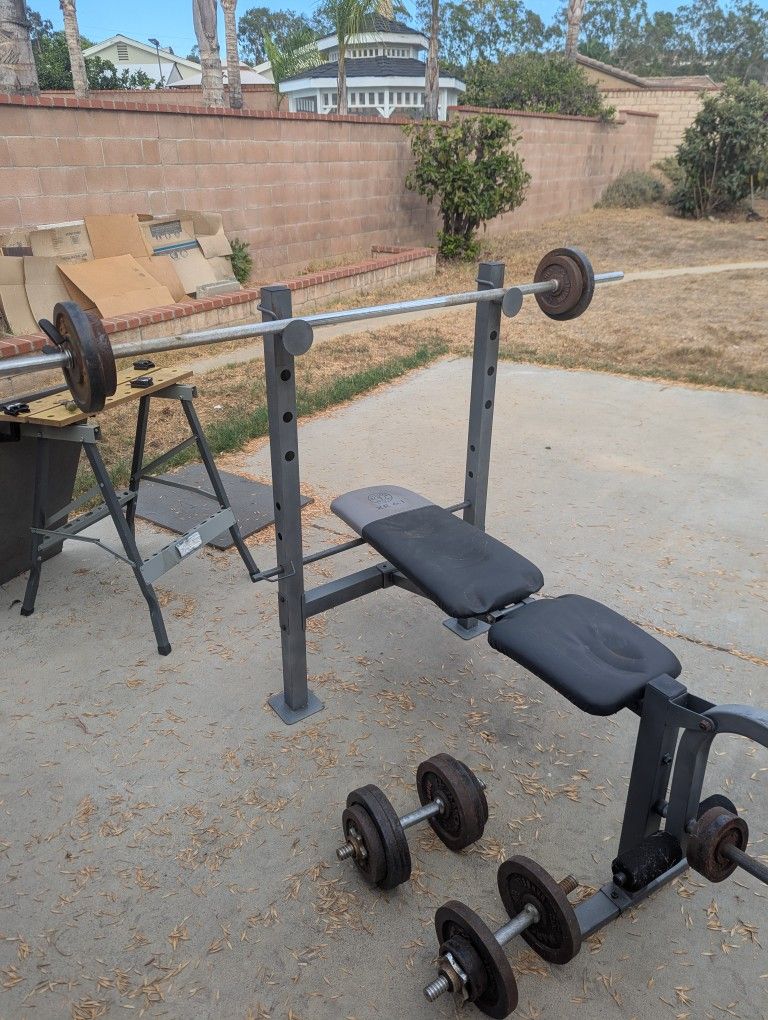 bench and weights