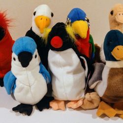Ty Beanie Babies--Updated Set Birds $5 each