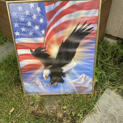 bald eagle print