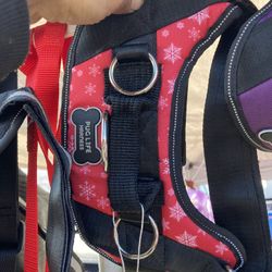 Puglife Dog Harnesses 