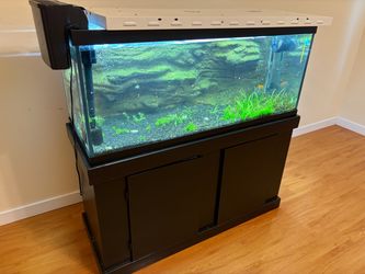 75 Gallon Fish Tank/Aquarium COMPLETE SETUP!!! Excellent Condition!