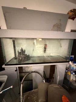 100 gal fish tank
