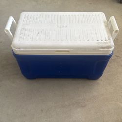 Igloo Cooler