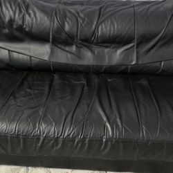 Free Sofa