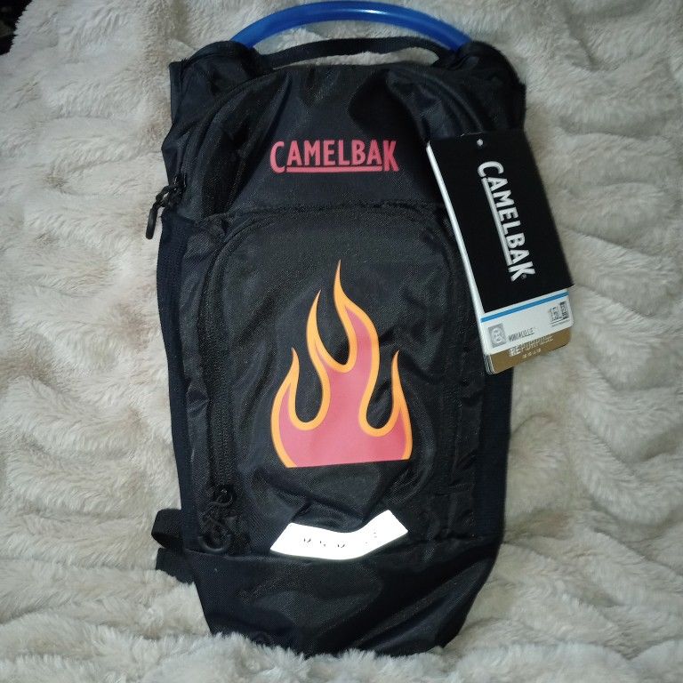 CamelBak Mini M.U.L.E.  Kids Hydration Backpack