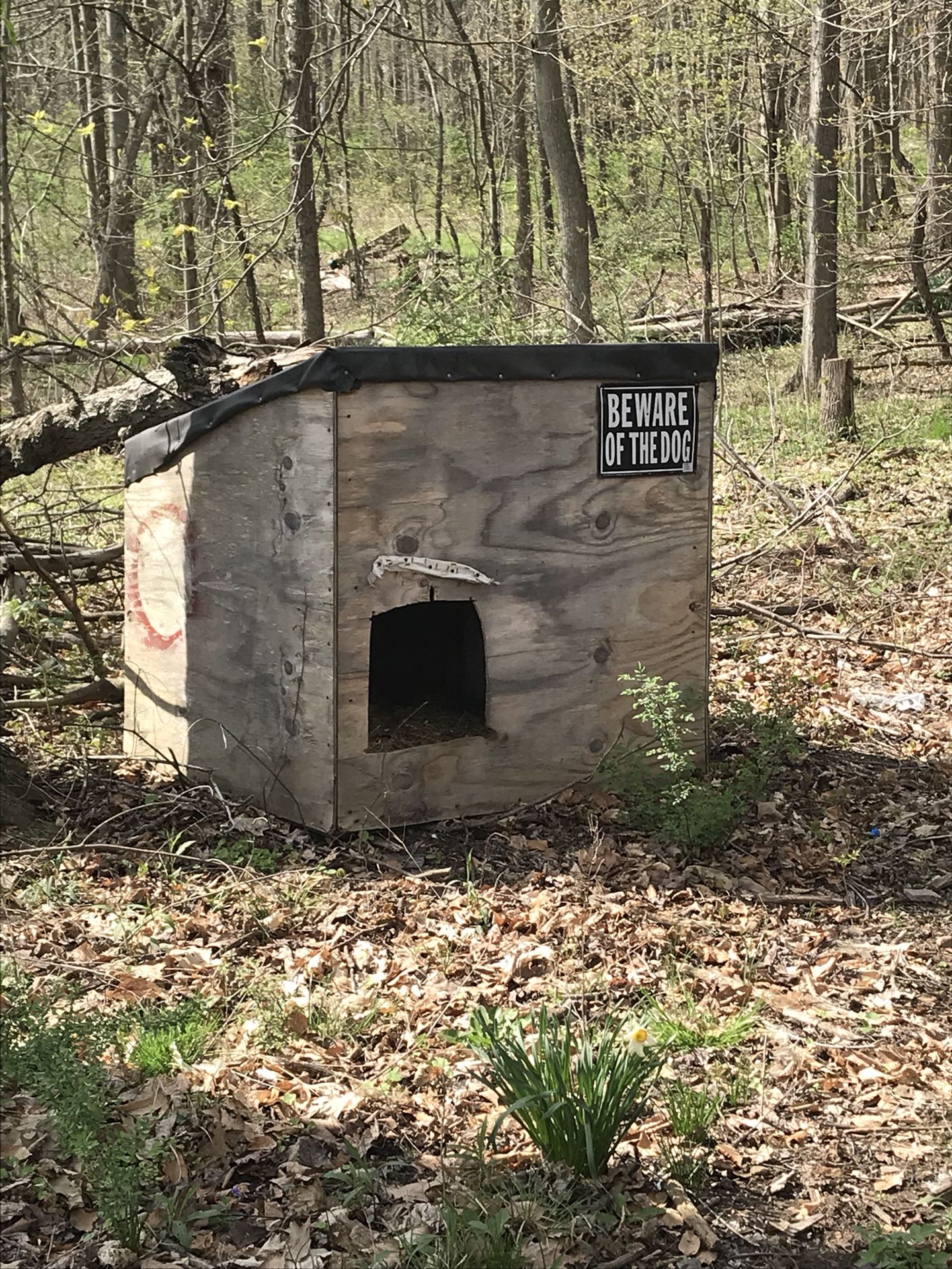 Dog house