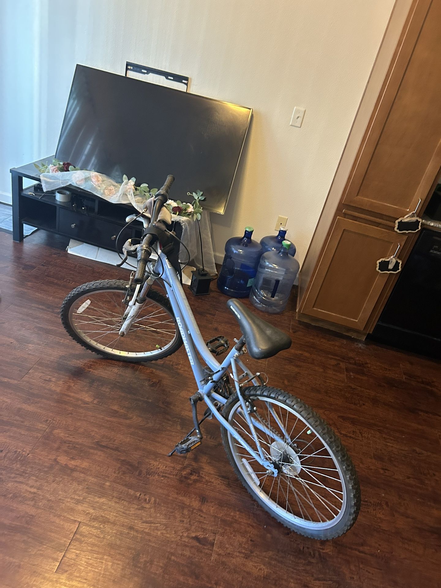 Bike (Roadmaster)
