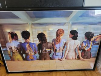 Framed Print